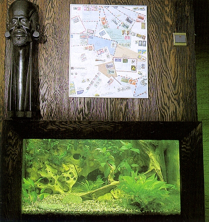 010.jpg (268052 bytes)