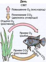 016.gif (27882 bytes)
