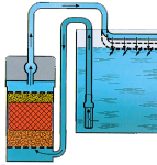 38.gif (12396 bytes)