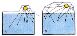 43.gif (19399 bytes)
